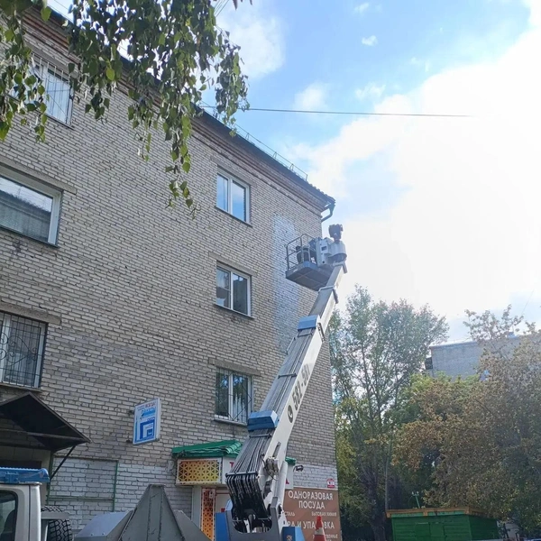 Источник: МЦУ города Барнаула