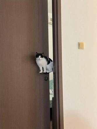 Источник: Соцсети