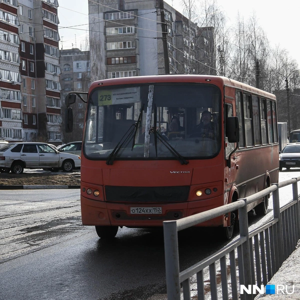Источник: Наталья Бурухина / NN.RU