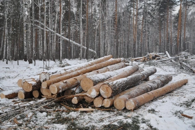 Власти Забайкалья объяснили подорожание дров