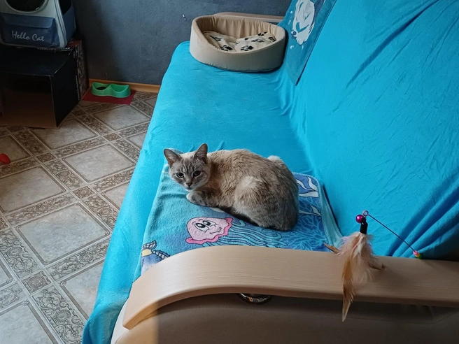 Кулема активно обживается на новом месте | Источник: предоставлено Татьяной