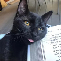 Аватарка Наталья