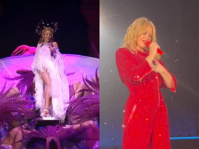 Источник: Aphrodite: Les Folies Tour, 2011 / Tension Tour 2025, соцсети