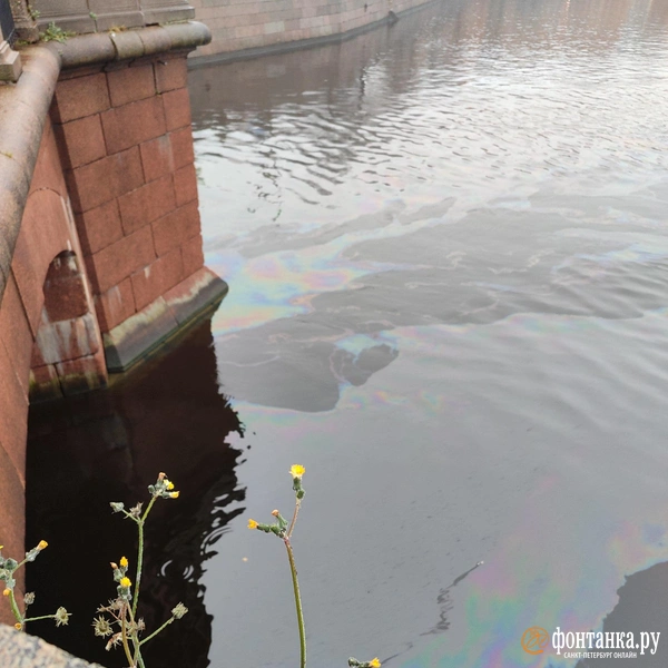 Источник: читатель «Фонтанки»