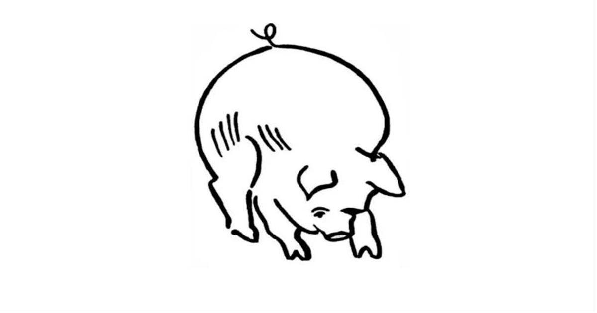 Как видят свиньи. На картинке видим свинья. Козел и свененья картинкигравити Фолз.