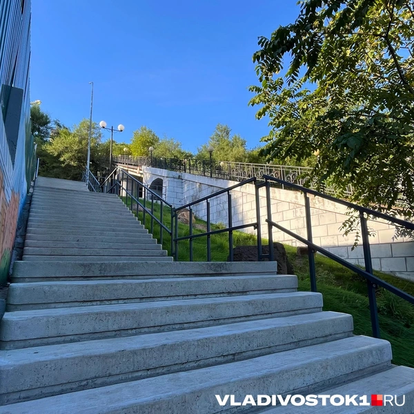 Источник: Елена Буйвол / VLADIVOSTOK1.RU