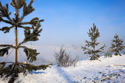 Frosts Recede as Irkutsk Awaits Slight Warming Next Week