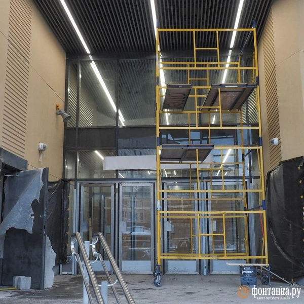 Источник: Михаил Огнев / «Фонтанка.ру»