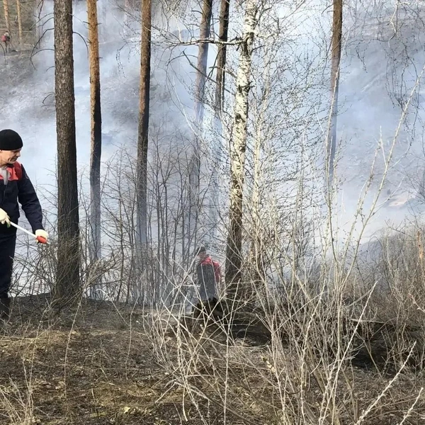 «От лесопожарных сил минприроды работают 10 единиц техники, включая противопожарный трактор и три автоцистерны, 32 человека личного состава. Также привлечены силы МЧС»,&nbsp;— рассказали в минприроды. | Источник: Минприроды Самарской области