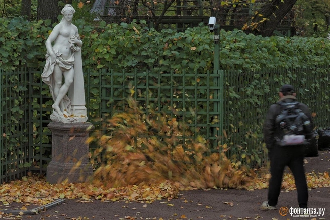 Над нами — обширная зона низкого давления, наполненная полями облаков и очагами дождей  | Источник: Михаил Огнев / «Фонтанка.ру»