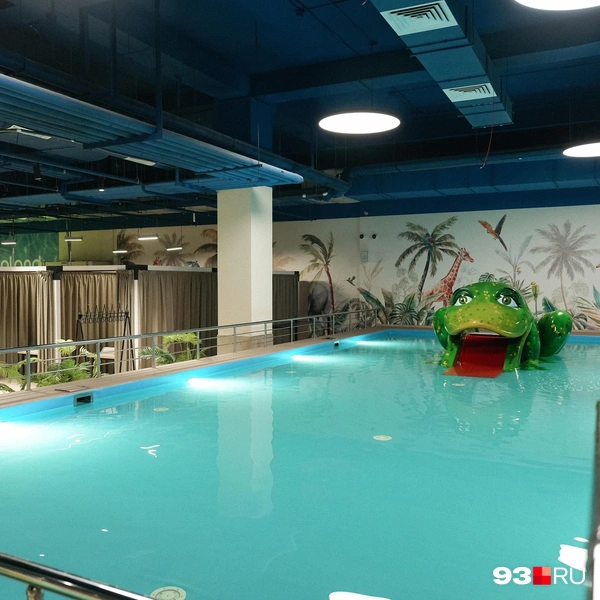 Источник: Дарья Паращенко / 93.RU