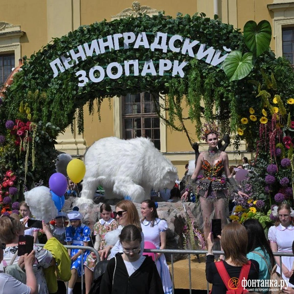 Источник: Андрей Бок / «Фонтанка.ру»