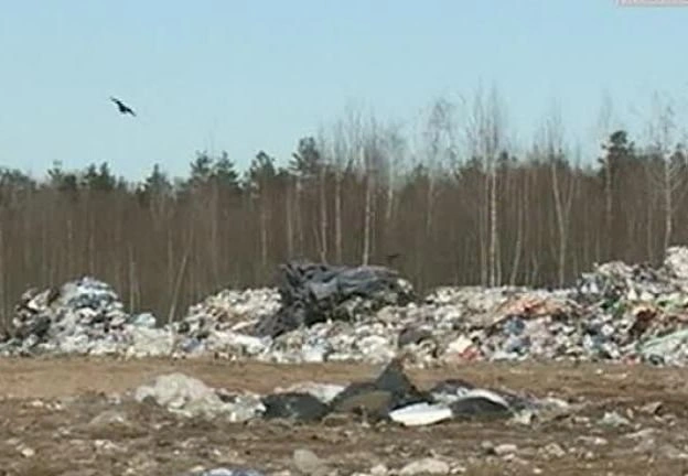 Мусорный полигон в Заборье признан незаконным | ya62.ru