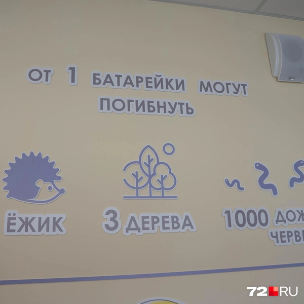 Источник: Илья Чикотин / 72.RU