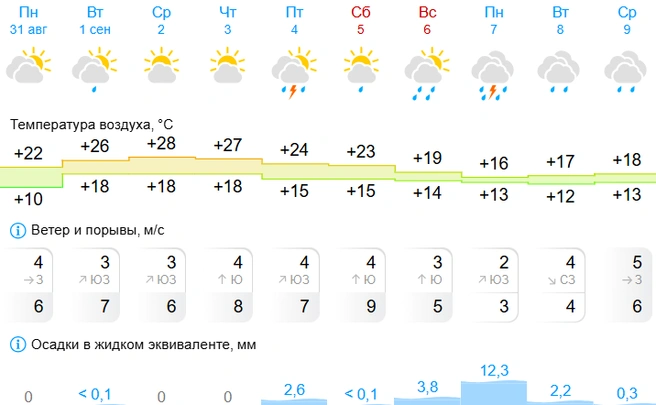 7 сентября выпадет 12,3 миллиметра осадков | Источник: Gismeteo