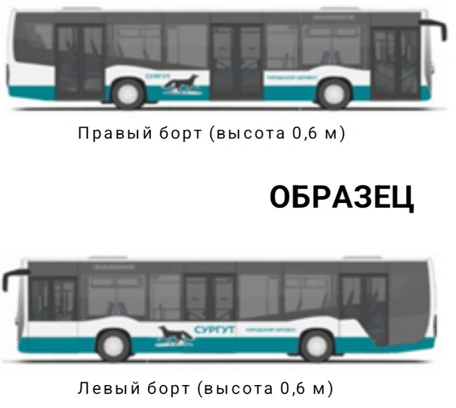 Источник: zakupki.gov.ru