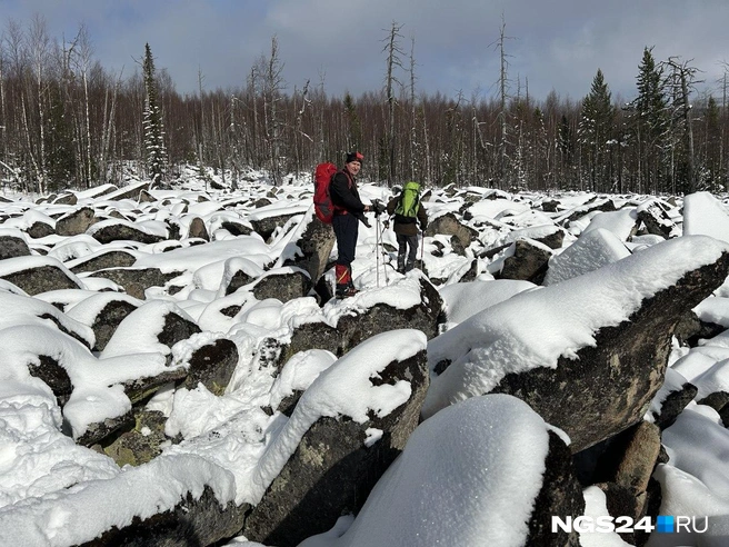 Место поиска — Кутурчин | Источник: Алексей Тайганавт / NGS24.RU