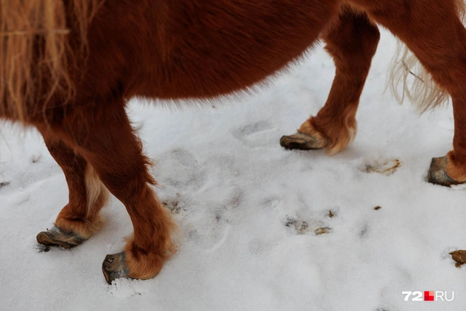 Он родился с такой особенностью, но жить она ему никак не мешает | Источник: Ирина Шарова / 72.RU