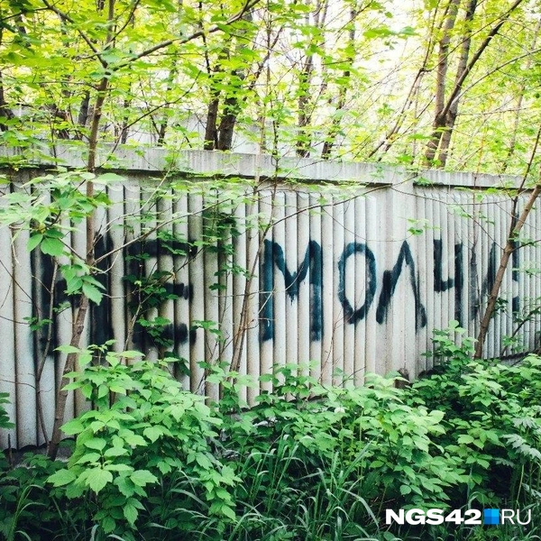 Источник: Александр Левчук / NGS42.RU
