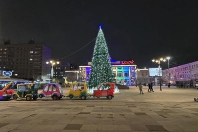 Саратов останется без местных новогодних елок