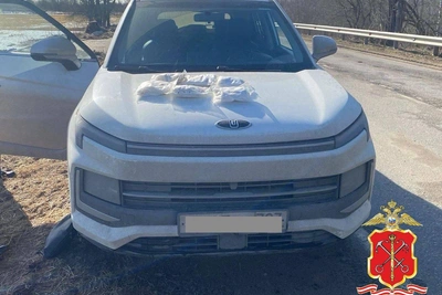 Задержаны рецидивистка и водитель каршеринга с 4 кг наркотиков