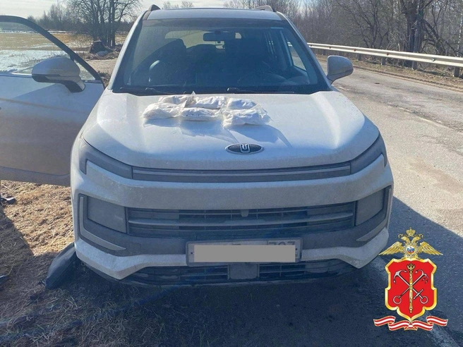 Рецидивистку на отсрочке и водителя каршеринга задержала петербургская полиция. На двоих — 4 кг порошка