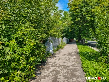 Она же, но в 2026-м | Источник: Булат Салихов / UFA1.RU