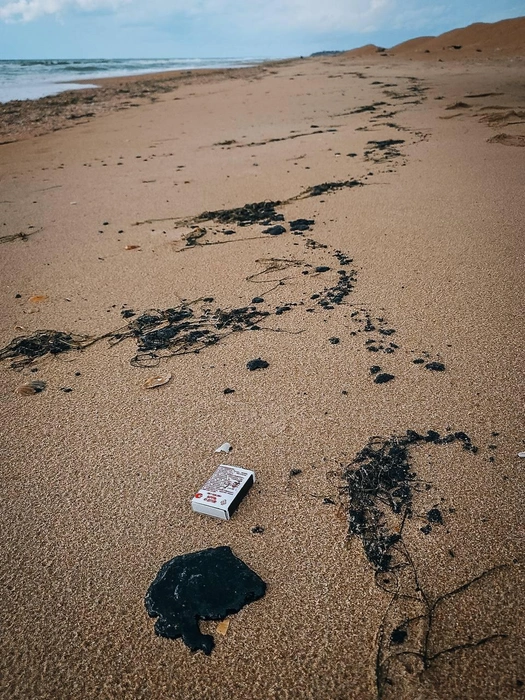 Кадр из Благовещенской | Источник: setisitolopata / T.me