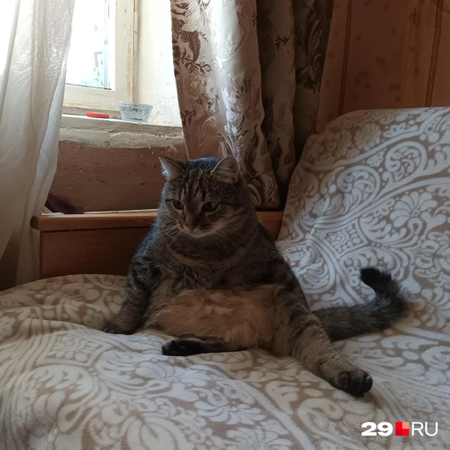 Обладательница самых стройных ножек на свете&nbsp;— Фрося | Источник: Мария Вершинина / 29.RU