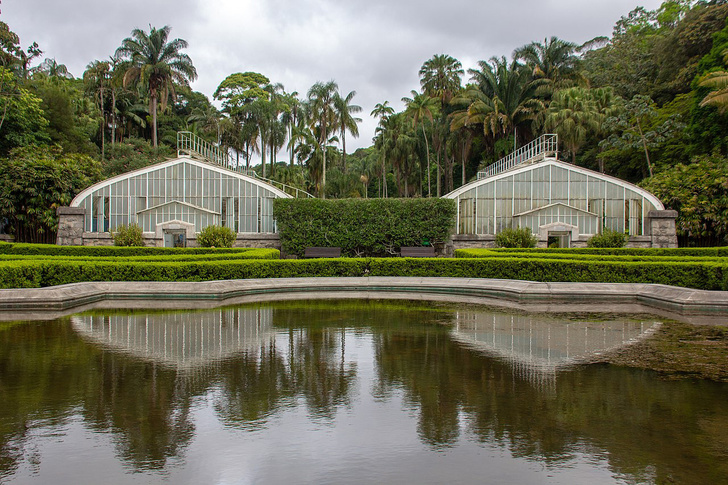 #Лучшедома: 10 виртуальных туров по ботаническим садам (фото 21)