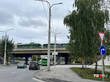 Источник: Анатолий Кузнецов / 72.RU