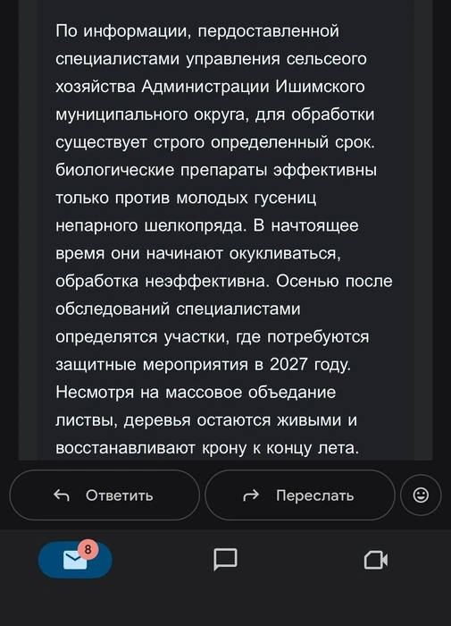 Сейчас, говорят, нет смысла травить гусениц | Источник: предоставила собеседница 72.RU