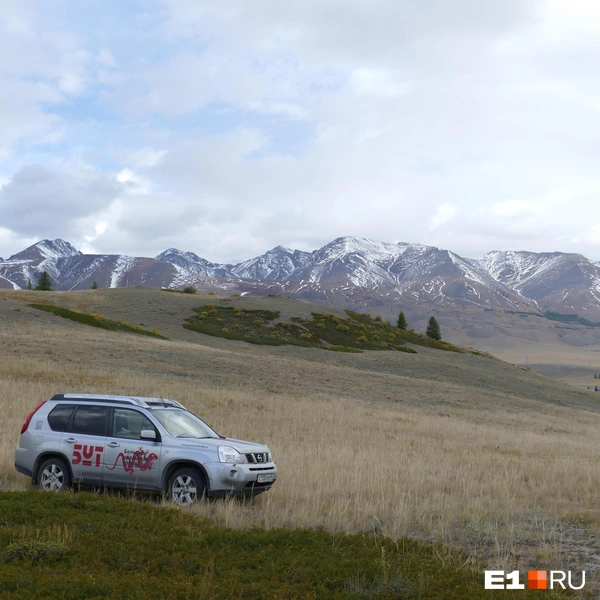 Источник: Дарья Черткова