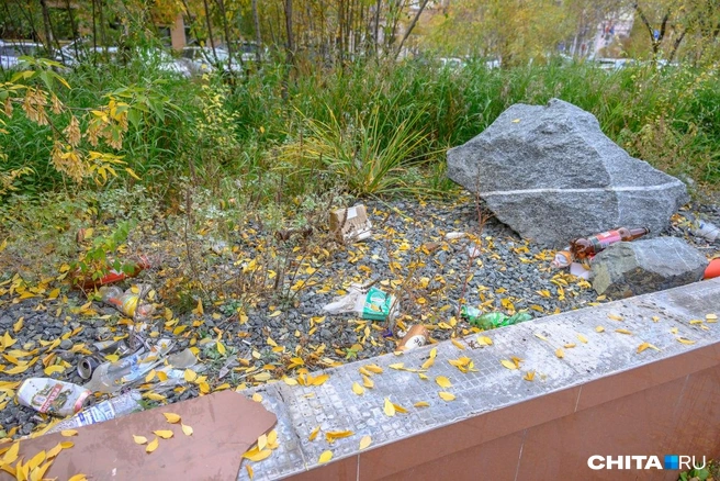 Источник: Олег Федоров / CHITA.RU