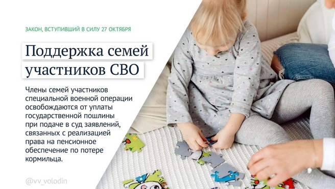 Источник: Вячеслав Володин / Telegram