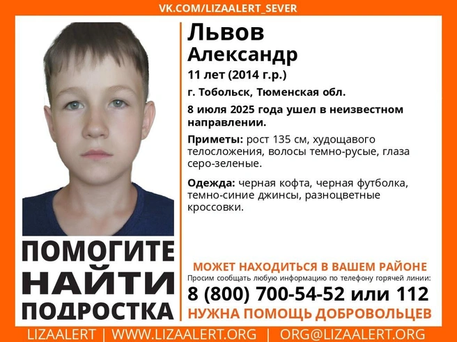 Источник: Поисковый отряд «ЛизаАлерт» Тюменской области / vk.com