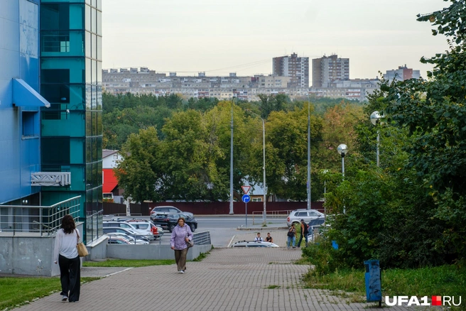 Там, за деревьями, скрывается другая жизнь | Источник: Булат Салихов / UFA1.RU