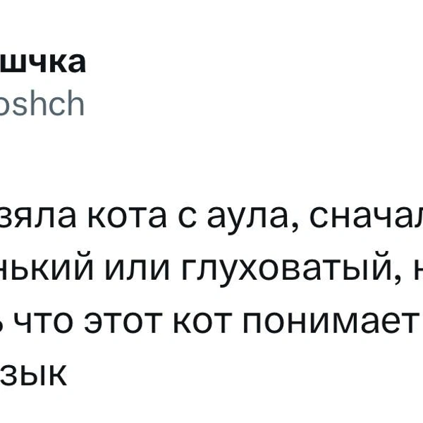 Источник: Twitter (X)