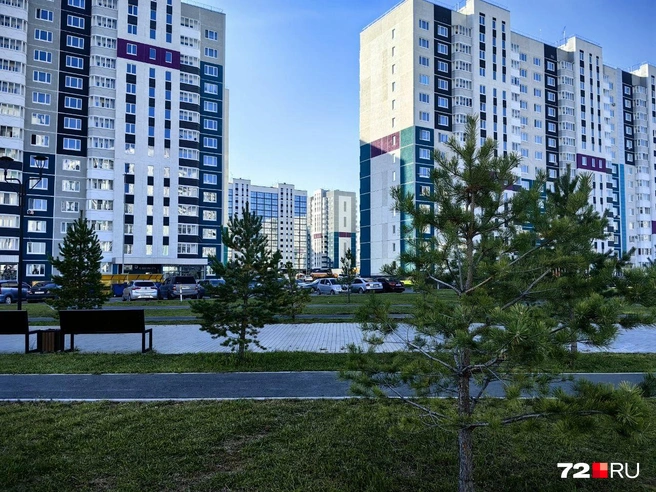Парк милый и уютный. Деревья пока небольшие  | Источник: Павел Красоткин / 72.RU 