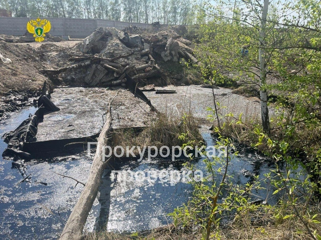 Так выглядит закопанный резервуар с битумом, куда угодили собаки | Источник: Пресс-служба прокуратуры Тульской области