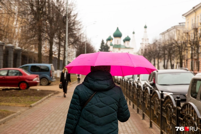 Тепло, но сыро и ветрено: каким будет начало рабочей недели в Воронеже | Источник: Александра Мамонтова / 76.RU