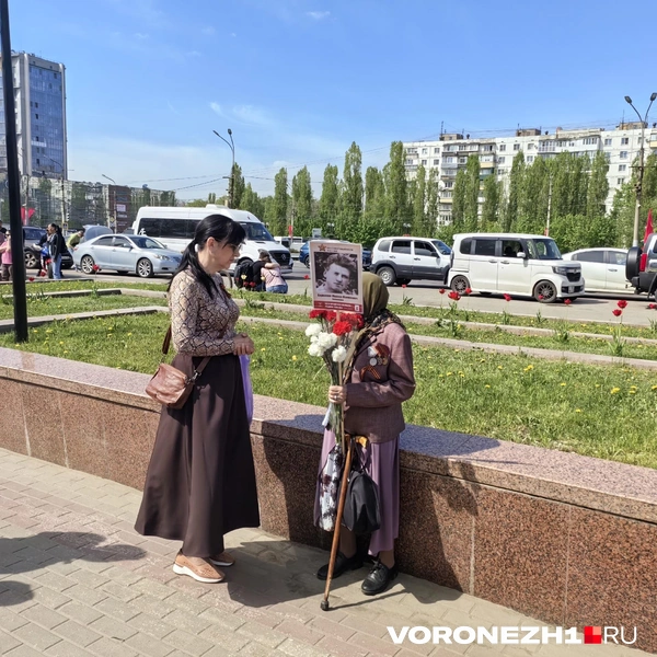 Источник: Андрей Пашинский / Voronezh1.ru