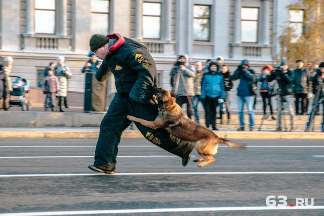 Кинологи со своим подопечным