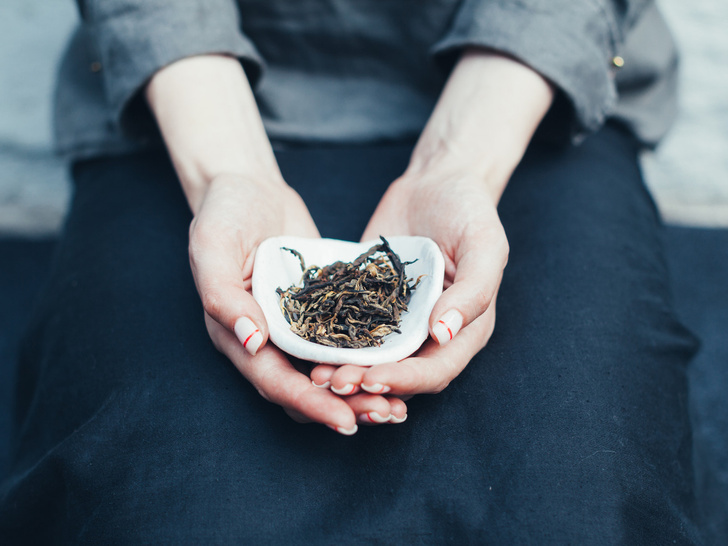 Чай пуэр: история целебного напитка и как его правильно заваривать