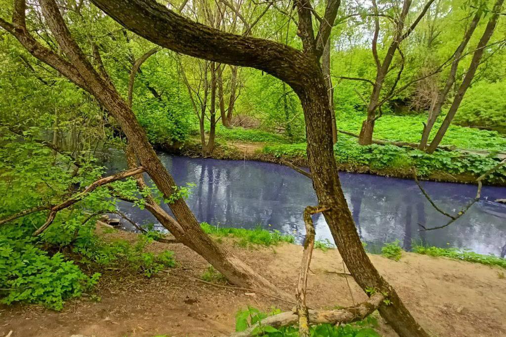Вижу синюю реку. Лихоборка река в Москве. Речка Лихоборка в Москве. Река Лихоборка водопад. Экологический парк Лихоборка.