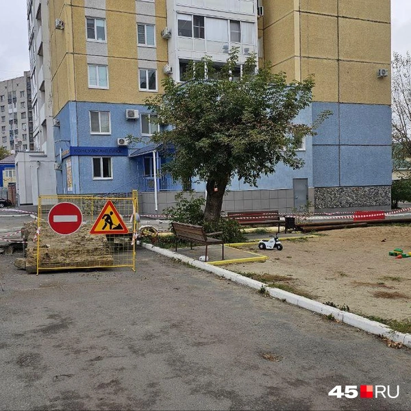Источник: Дарья Никитченко