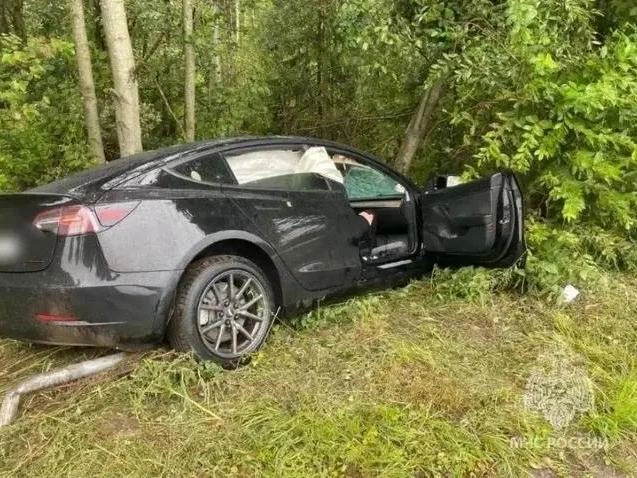 Водитель машины, влетевшей в дерево, госпитализирован | Источник: МЧС России