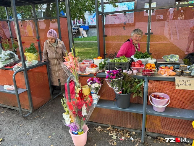 Кажется, что пенсионерки каждому называют свою цену. Но возле Солнечного выбор однозначно больше. Если не знаете чего хотите, поезжайте сюда | Источник: Анастасия Малышкина / 72.RU 