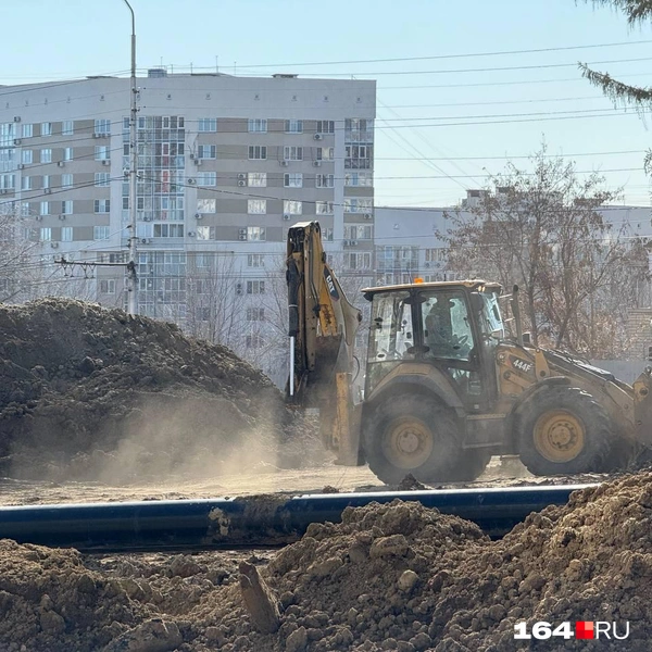 Источник: Сергей Петунин / 164.RU