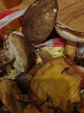 Источник: Анастасия Демидова